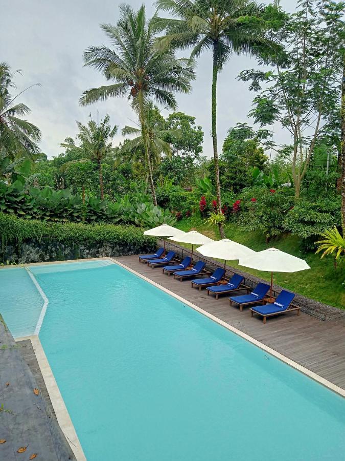 Teras Hotel Ijen Banyuwangi 바뉴왕기 외부 사진